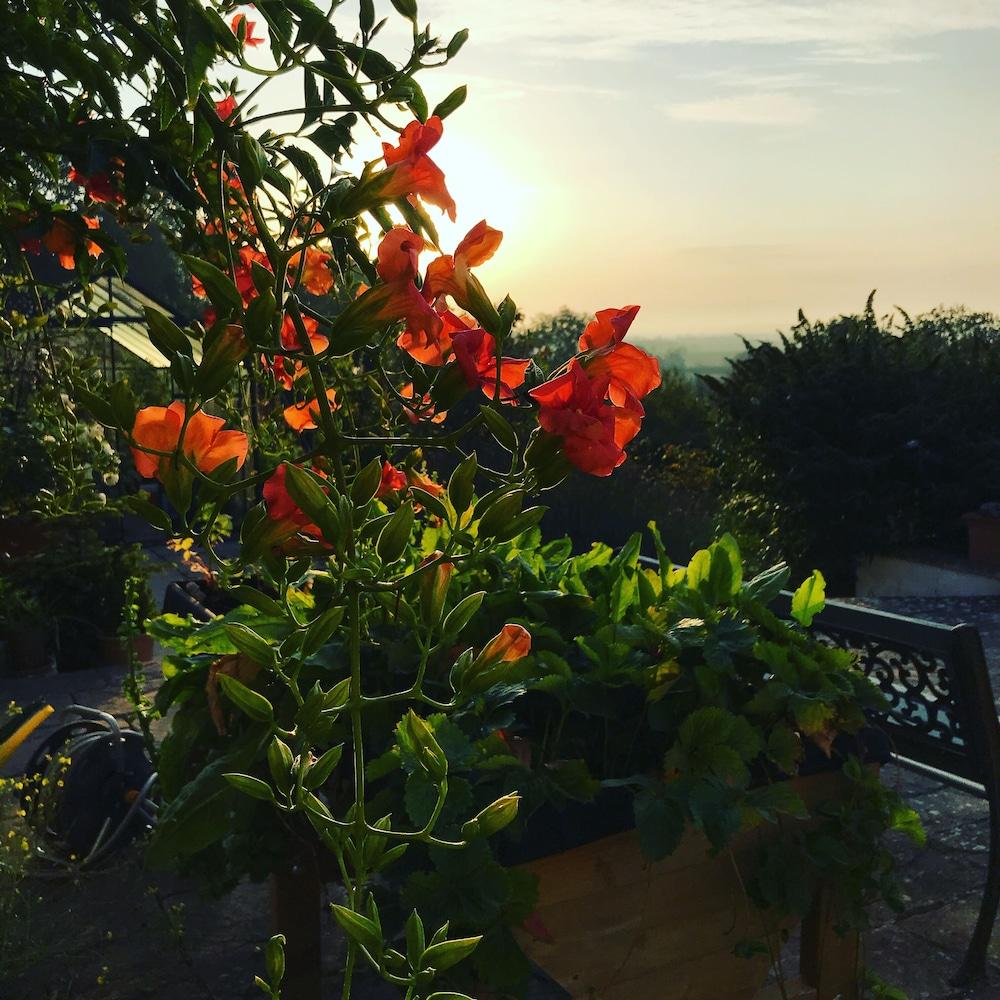 Shakespeare's View 5* Stratford-upon-Avon