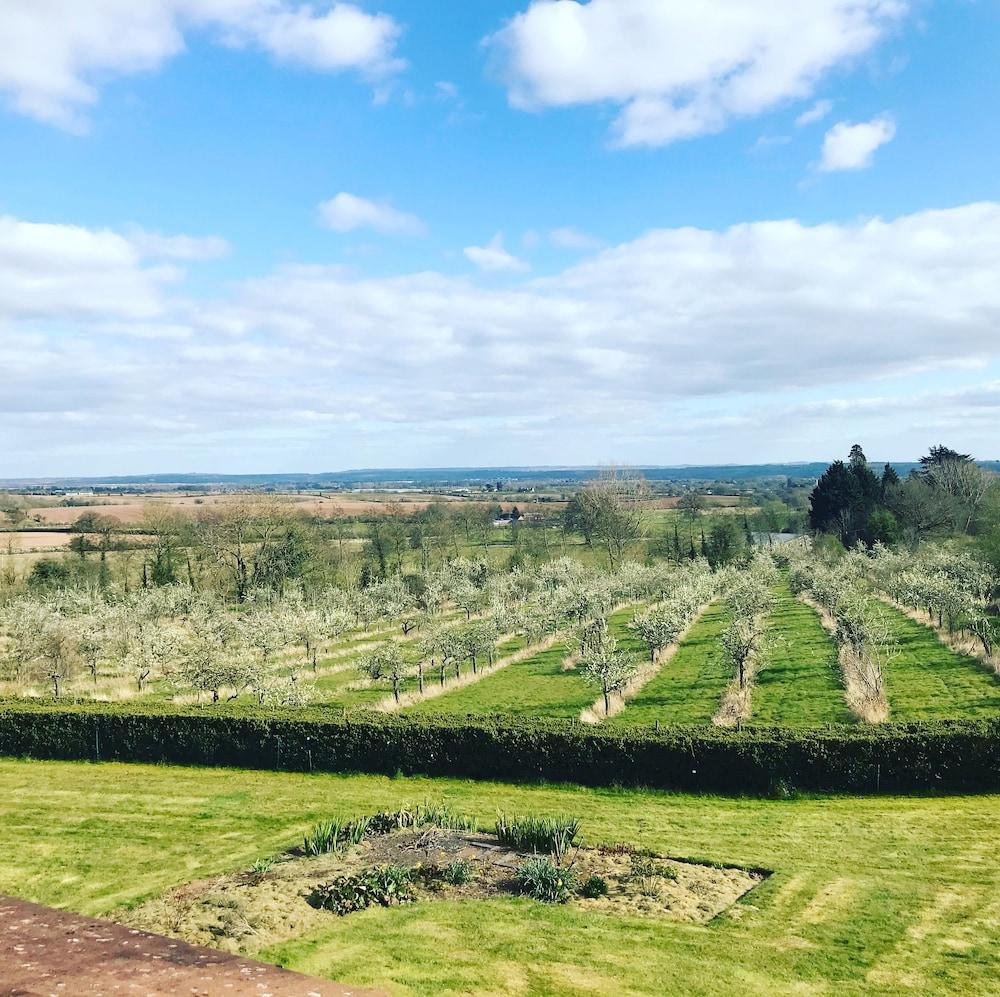 Guest house Shakespeare's View