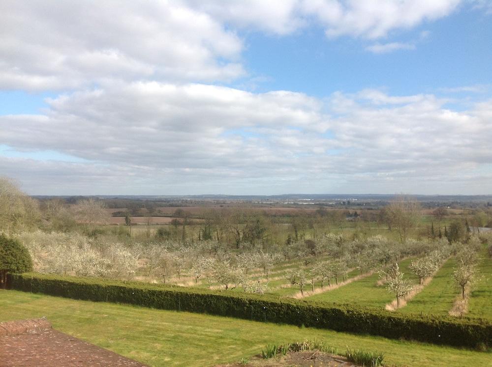 Shakespeare's View 5*