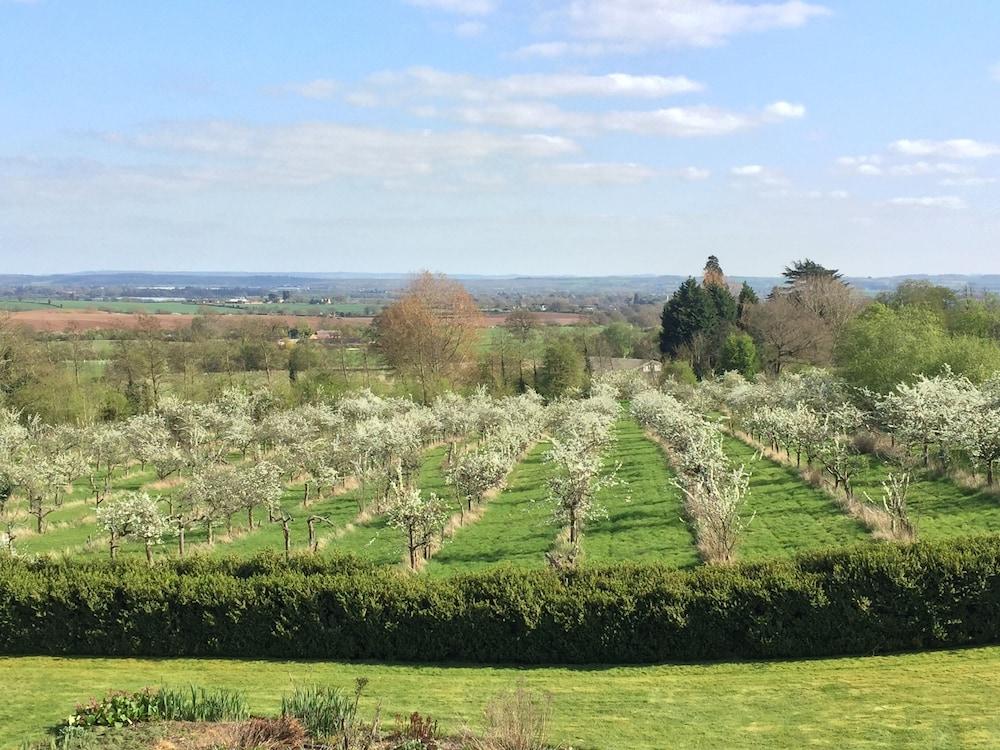 Guest house Shakespeare's View