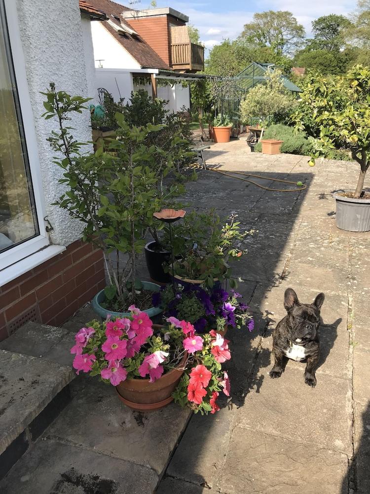 Shakespeare's View 5*