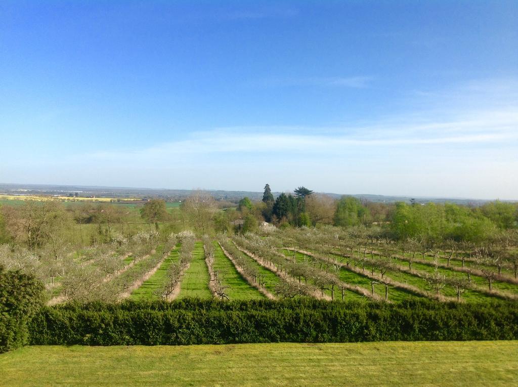 Guest house Shakespeare's View 5*