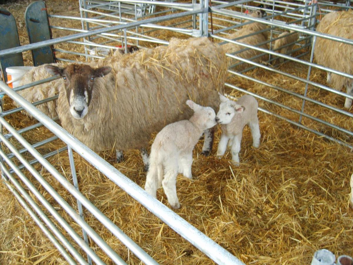 Church Farm Estadia no rancho