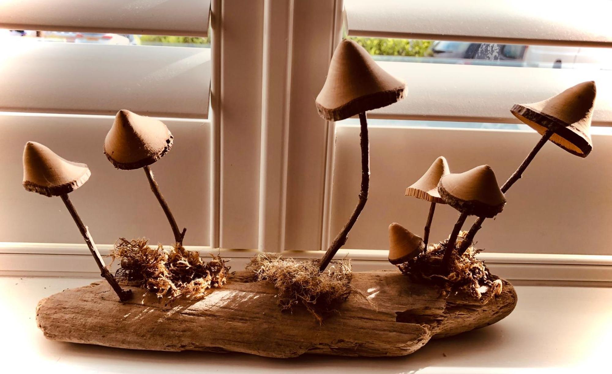 The Mush-room *
