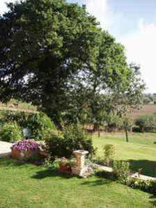 Monks Barn Farm - Self Catering 3* Stratford-upon-Avon